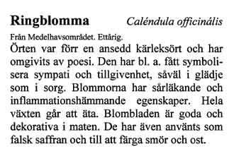 Plastad skylt med text av Kerstin Ljungqvist.