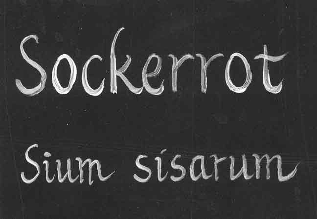 Svart plåtskylt, handtextad av Kerstin Ljungqvist.